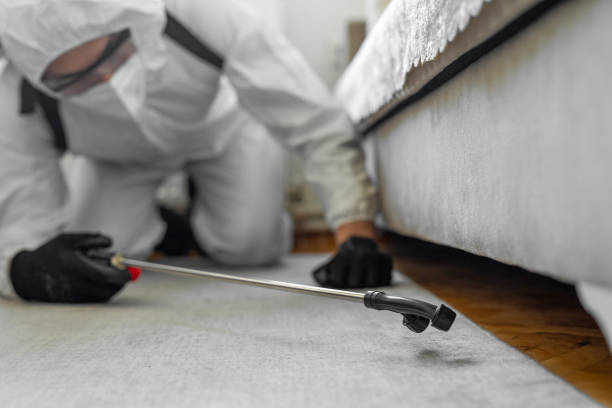 Professional Cockroach Control technician working in St. Marys, KS