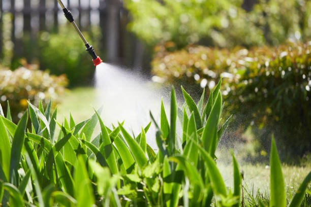 24/7 Emergency Cockroach Control experts in St. Marys, KS