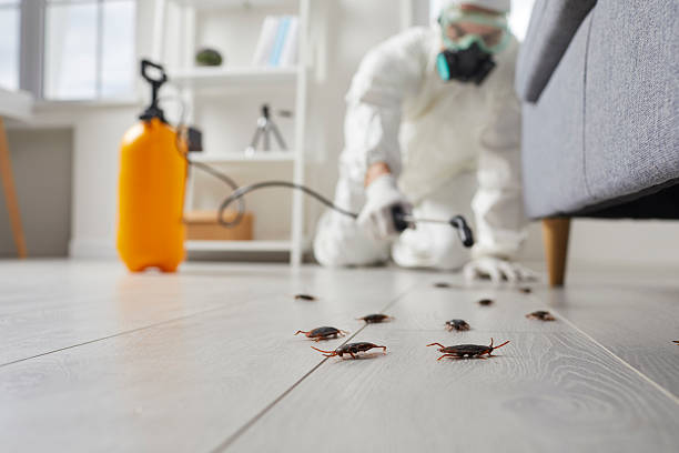 Trusted Cockroach Control service in St. Marys, KS - Nex Pest Control